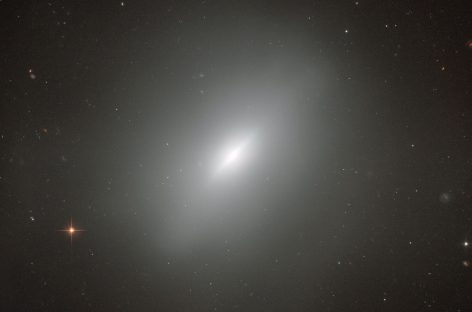Elliptical Galaxies Not Formed by Merging