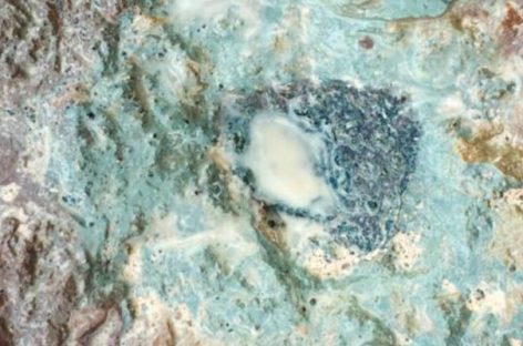 Bizarre Rock Found in Sweden is a New Type of Meteorite