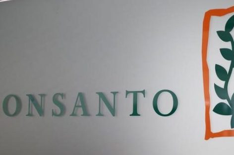 Monsanto, Microsoft to Invest in Agricultural Technology in Brazil