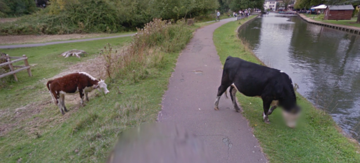 Google Street View Blurs Bullocks’s Face