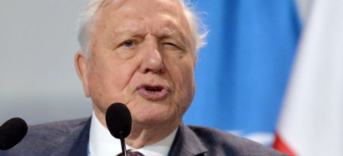 David Attenborough Predicts the Collapse of Cilivization