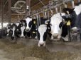 Deadly Superbug Outbreak in Humans Linked to Antibiotic Spike in Cows